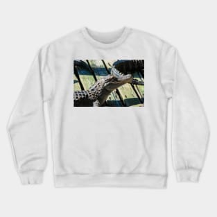 big smiling alligator Crewneck Sweatshirt